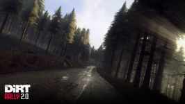 DiRT Rally 2.0 Screenshots